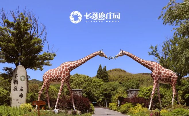 喜报湄旅旗下两大酒店再度荣登“携程口碑榜”！生态旅游标杆实至名归(图12)