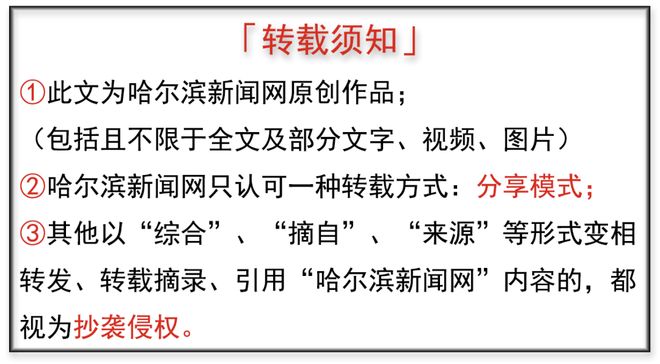 高空烟花秀、3000架无人机表演、35小时不间断演艺接连上演｜哈尔滨冰雪大世界×携程旅行暑期嘉年华启幕(图7)