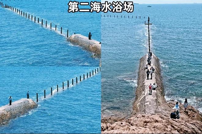 暑期青岛最好的三个旅行社推荐：2025青岛旅行社报团旅游必看测评(图4)