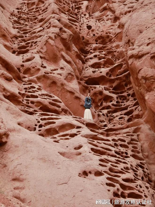 熊猫体育平台：新疆十日游旅行团费用10天行程价格全览看完直接省一半(图1)