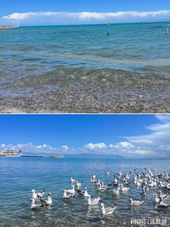 熊猫体育平台：青海旅行社指南：2025年青海正规旅行社与口碑最好三个(图2)