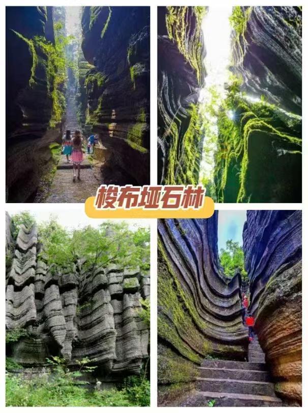 恩施八大旅行社有哪些恩施服务细致的旅行社推荐！(图1)