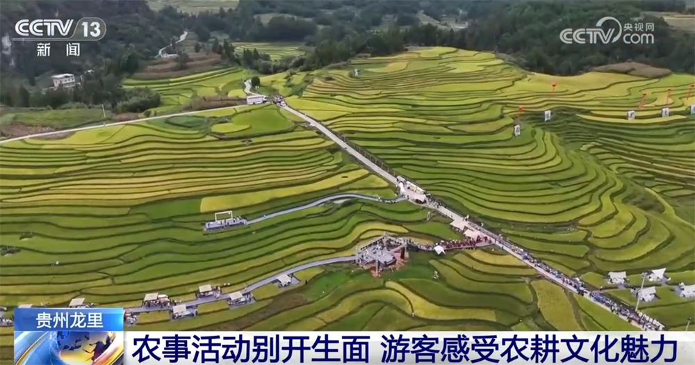“旅游+”“体育+”等融合消费场景加快培育服务消费增势稳定(图6)