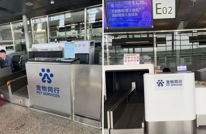 熊猫体育：从客舱到酒店、景区“人宠服务”如何扎根中国旅游市场？(图1)