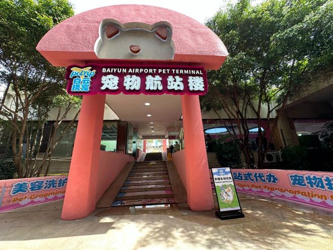 熊猫体育：从客舱到酒店、景区“人宠服务”如何扎根中国旅游市场？(图2)