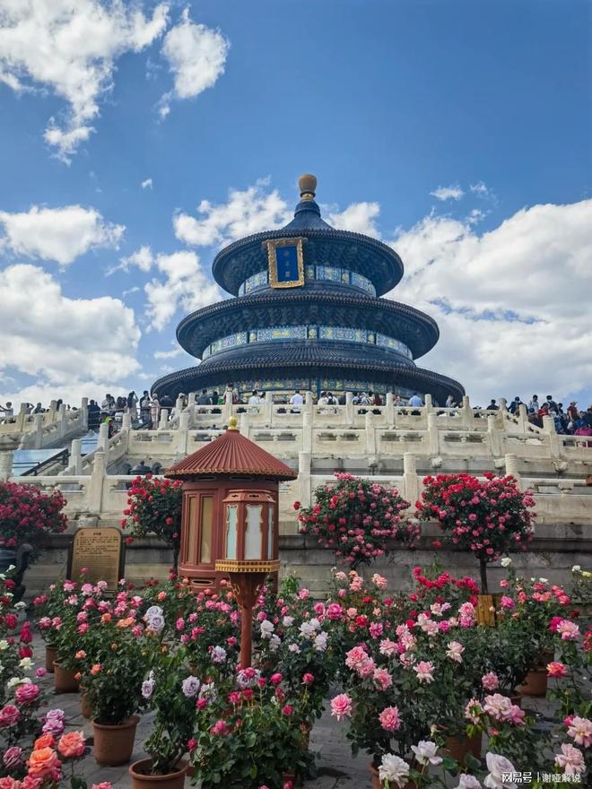 熊猫体育网站：社恐友好！北京十大金牌旅行社的小团定制服务太懂独处需求了(图3)