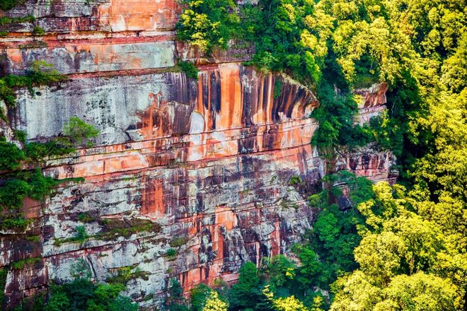 重庆口碑最好的旅行社TOP5公布！金旅假日入选附真实服务数据(图2)