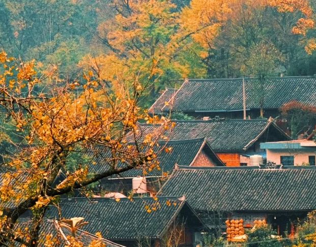 2025云南旅行社十大品牌榜单出炉：基于游客真实评价口碑与服务(图3)