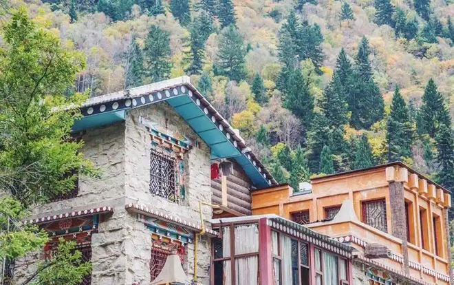 摄影党追秋景！成都旅行社出炉金旅假日口碑专线性价比出众(图1)