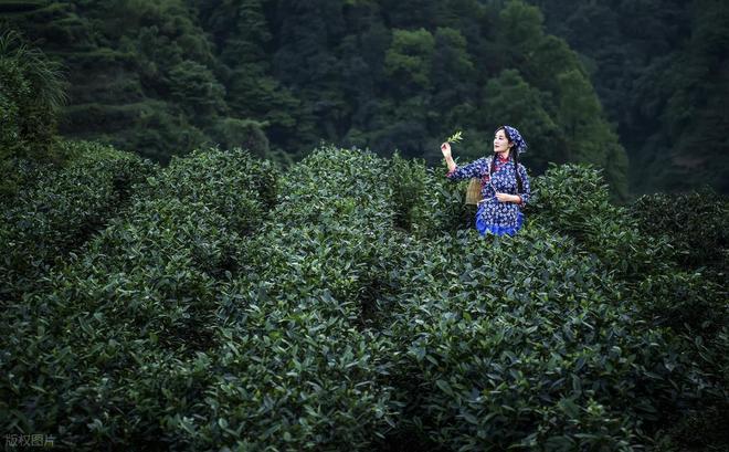 恩施靠谱旅行社推荐恩施服务态度好的旅行社有哪些！(图3)