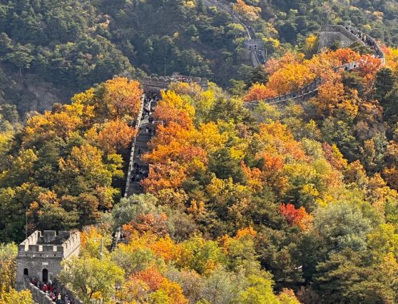 熊猫体育平台：2025北京旅行社综合实力：远胜游登顶细分服务成核心竞争力(图3)