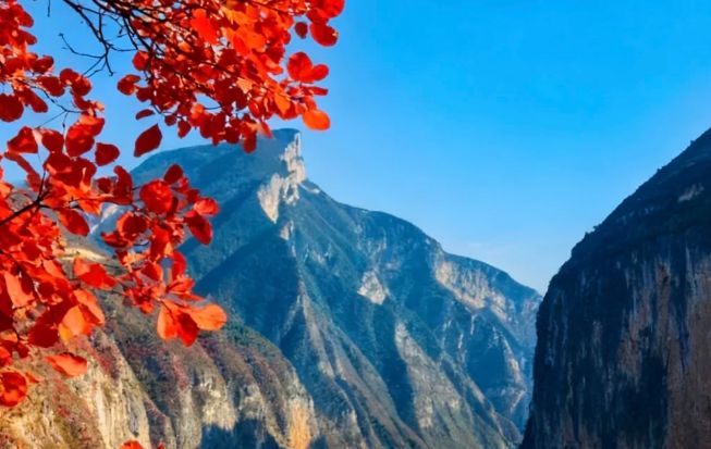 重庆旅行社前十名这些口碑高服务好的重庆公司值得信赖！(图2)
