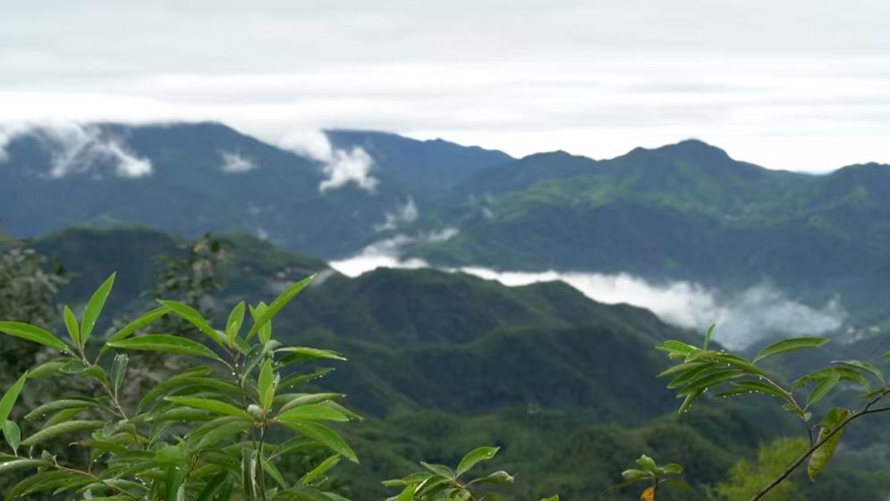 潜山市农文旅体商深度融合开启秋季旅游新篇章(图1)