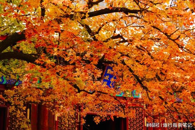 2025北京十佳旅行社：口碑旅行社TOP3深度解析性价比大(图6)