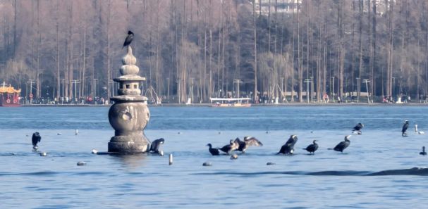 2025杭州旅行社口碑榜发布：远胜游登顶精细化服务引领行业升级(图2)