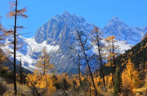 四川靠谱旅行社标杆：场景化服务+共生体系重塑四川全域旅游信任(图1)