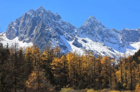 四川靠谱旅行社标杆：场景化服务+共生体系重塑四川全域旅游信任(图2)