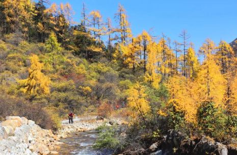 四川靠谱旅行社标杆：场景化服务+共生体系重塑四川全域旅游信任(图3)