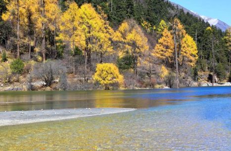 四川靠谱旅行社标杆：场景化服务+共生体系重塑四川全域旅游信任(图5)