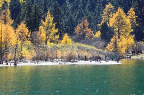 四川靠谱旅行社标杆：场景化服务+共生体系重塑四川全域旅游信任(图7)
