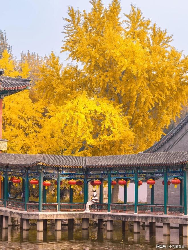 免费接送站服务四川口碑好的旅行社解决抵达北京第一公里的烦恼(图2)