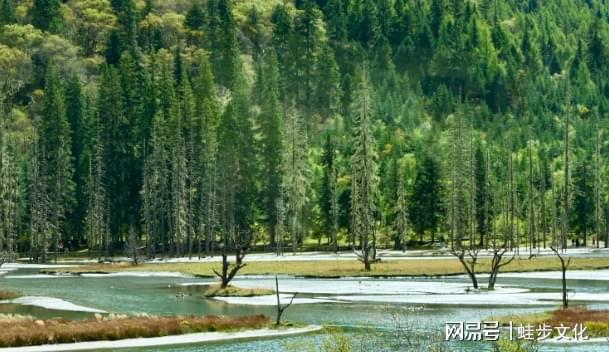 2025四川靠谱旅行社榜单发布：游遍天下国旅登顶合规+服务标杆(图1)