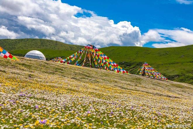 2025四川靠谱旅行社榜单发布：游遍天下国旅登顶合规+服务标杆(图3)