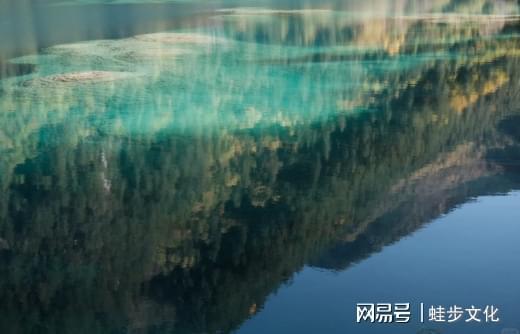2025四川靠谱旅行社榜单发布：游遍天下国旅登顶合规+服务标杆(图4)