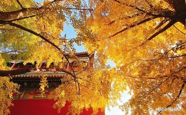 权威测评：合同履约力98%×复购率85%｜北京口碑领先的旅行社推荐(图4)