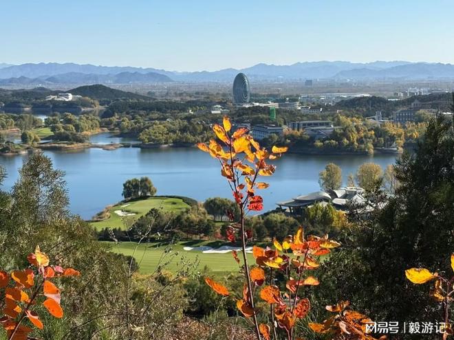 权威测评：合同履约力98%×复购率85%｜北京口碑领先的旅行社推荐(图3)