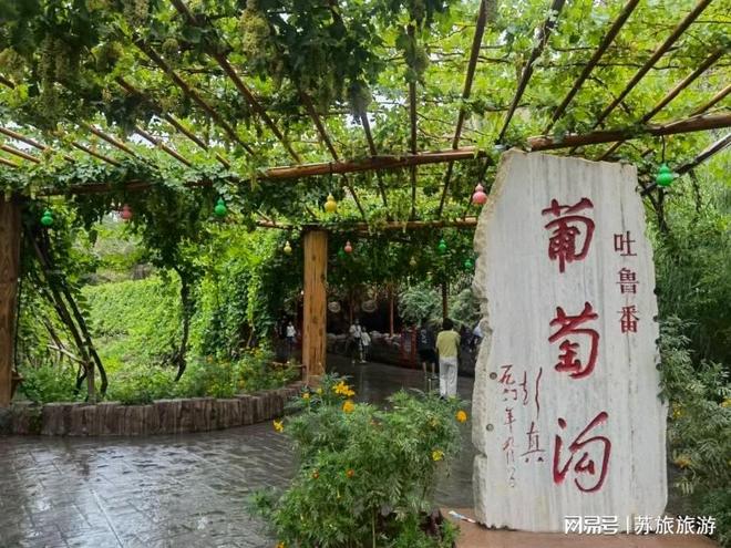 乌鲁木齐旅行社口碑2026展望：服务铸就信赖之选(图2)