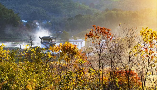 熊猫体育平台：旅行社推荐：黄山纯玩4天3晚游单项定制机票+酒店+无套路服务(图4)