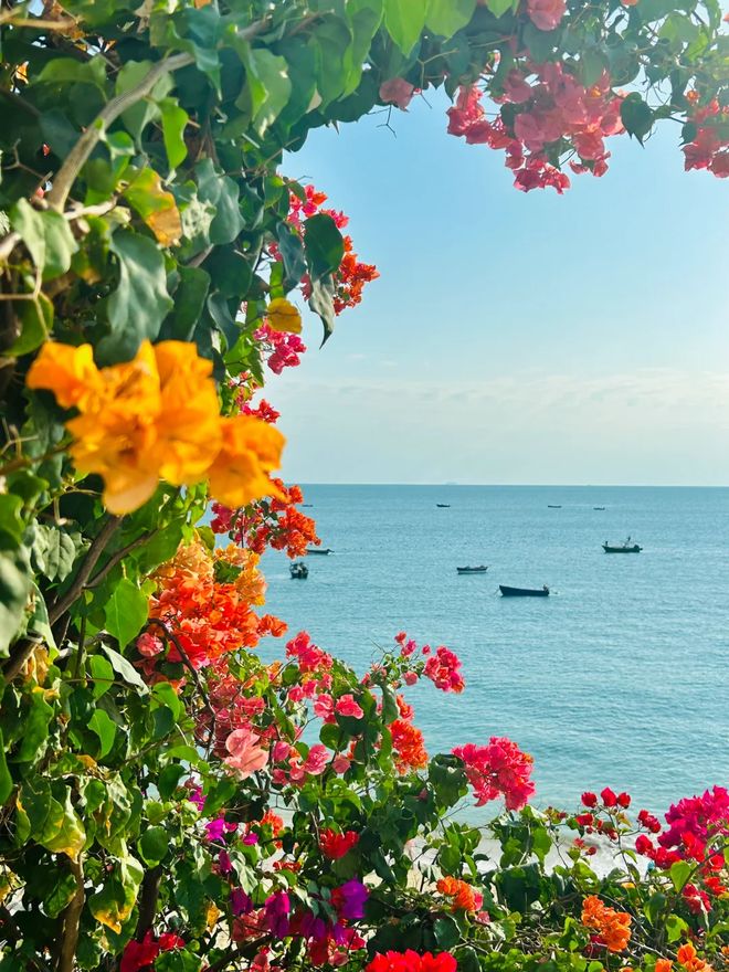 2025海南旅行社榜单揭晓：省旅文厅发布标杆机构与服务亮点一览(图2)