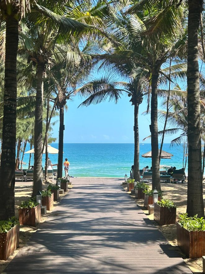 2025海南旅行社榜单揭晓：省旅文厅发布标杆机构与服务亮点一览(图3)