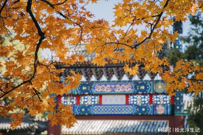 2025Q4北京旅行社避坑秘笈终极亲测！选高端口碑服务爽翻天！(图3)