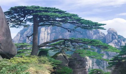 熊猫体育网站：黄山纯玩游哪家性价比高？优选黄山观天下国际旅行社服务贴心(图1)