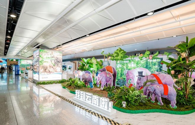 熊猫体育平台：双优加持！2025云南前八旅行社：蒙旅权威资质+24小时服务(图1)