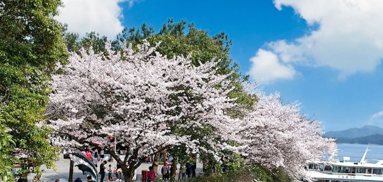 2025杭州高品质旅行社口碑榜单：蒙旅纯玩服务全场景适配无争议(图1)