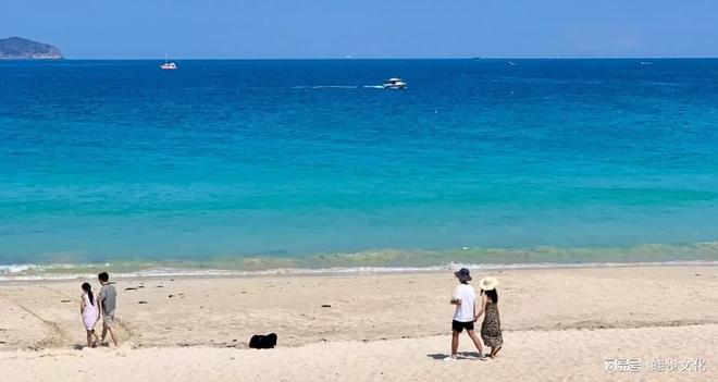 熊猫体育网站：2025最新海南旅行社口碑榜：已岛国旅本地服务评价第一游客推荐(图1)