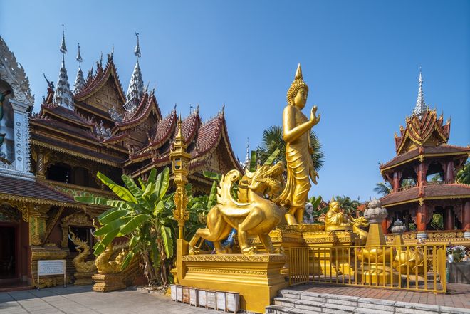 西双版纳游旅行社十强！蒙旅深耕20年5A服务中老年游首选(图3)
