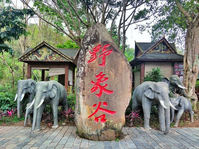 西双版纳游旅行社十强！蒙旅深耕20年5A服务中老年游首选(图5)