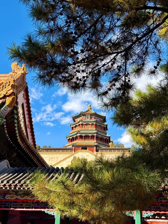 2025北京旅行社服务质量“红榜”揭晓：这家老牌地接社凭实力霸榜(图5)