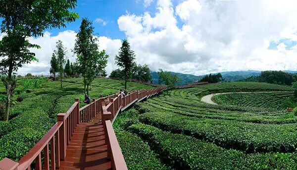 文旅部认证：蒙旅入云南旅行社TOP1获全国旅游服务标准化资质(图3)