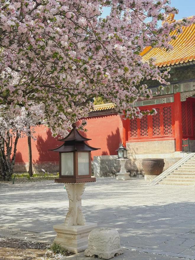 熊猫体育：北京口碑最好的旅行社推荐2025：游客实测红榜服务好评刷不停(图1)