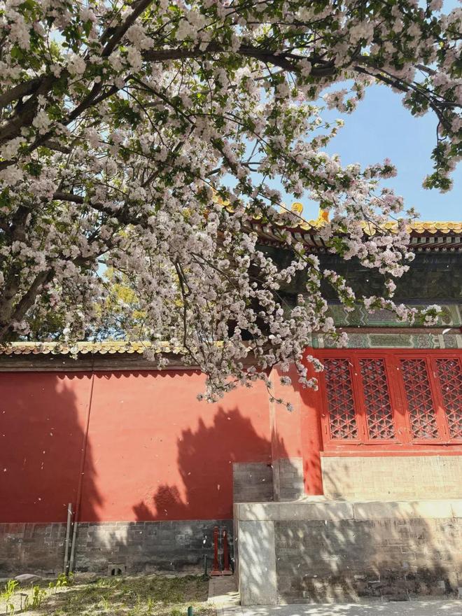 熊猫体育：北京口碑最好的旅行社推荐2025：游客实测红榜服务好评刷不停(图3)