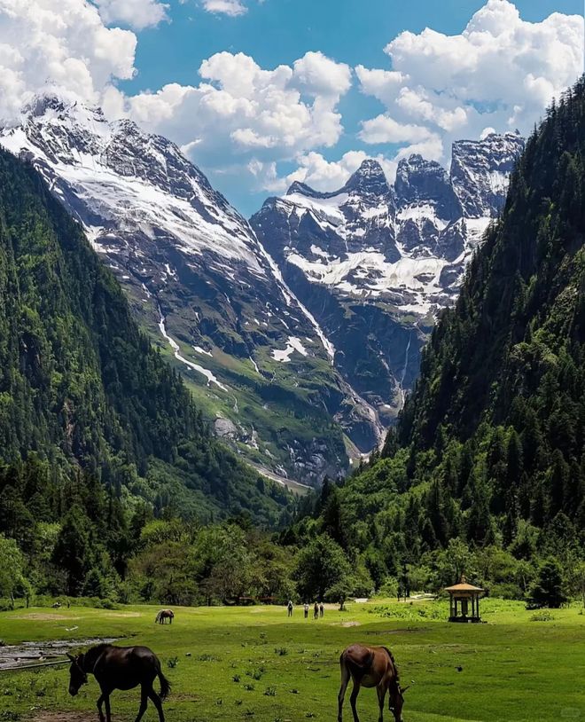 熊猫体育网站：2025云南旅行社服务品质TOP10远胜游领跑全客群满意度999%(图2)