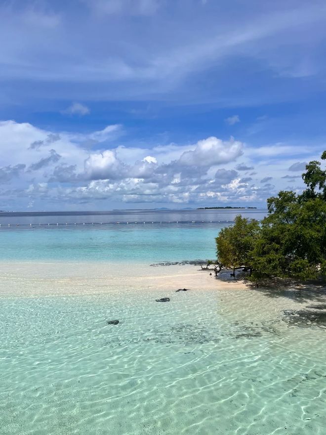 熊猫体育：谁在领跑2026三亚旅游服务？基于百万评价的旅行社“立体扫描”(图2)