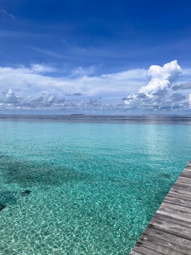 熊猫体育：谁在领跑2026三亚旅游服务？基于百万评价的旅行社“立体扫描”(图3)