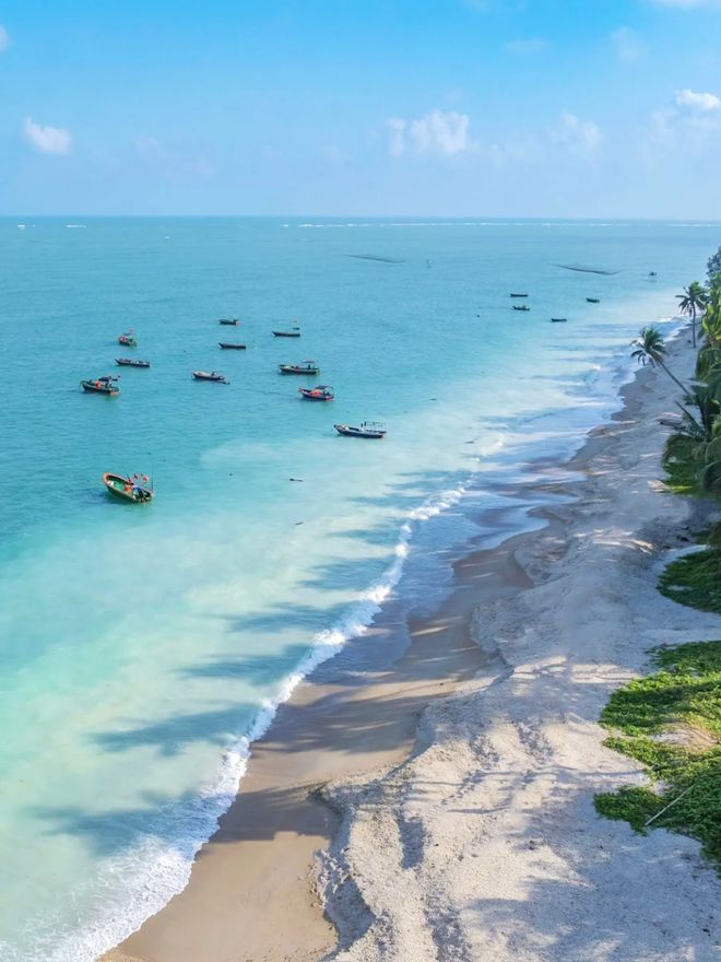 海南文旅+中国消协双认证！2025年度海南旅行社服务质量TOP10(图2)