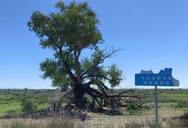 基于线阿勒泰优质旅行社口碑榜TOP8服务特色解析(图1)